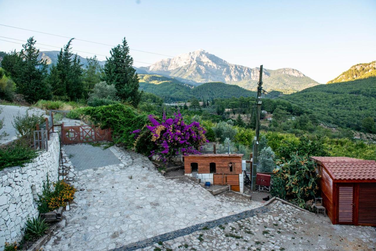 Trinitys Forest Bungalows Kemer Esterno foto