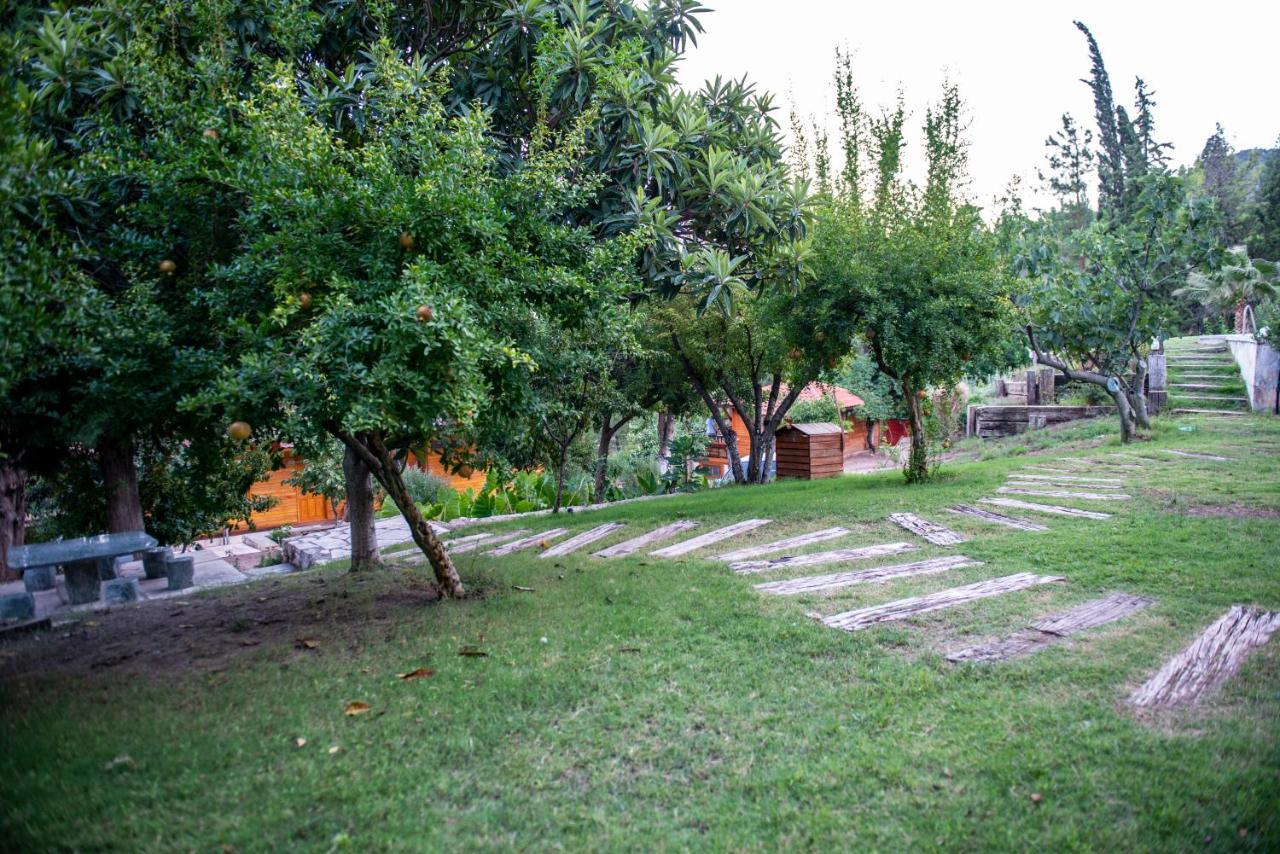 Trinitys Forest Bungalows Kemer Esterno foto