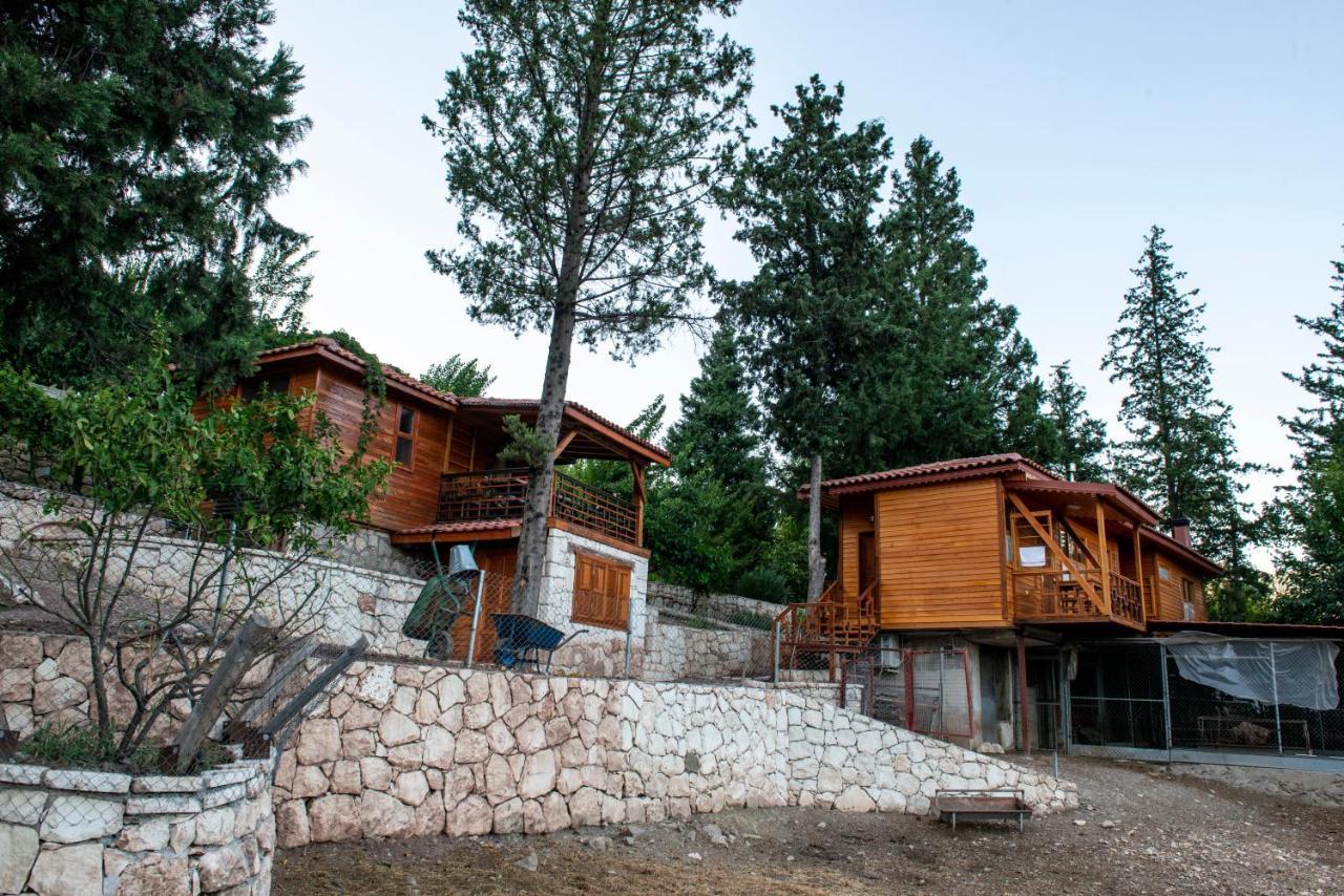 Trinitys Forest Bungalows Kemer Esterno foto