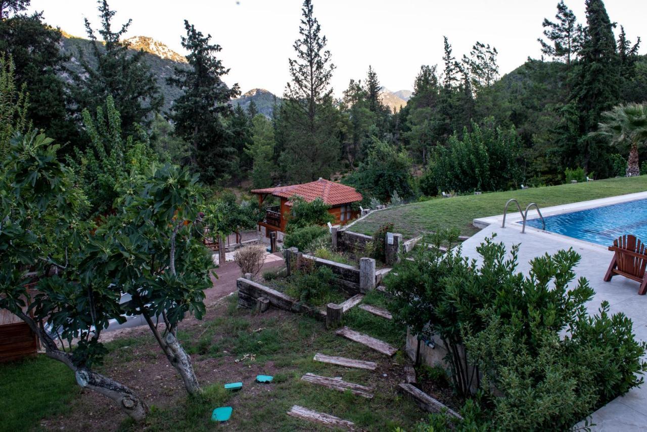 Trinitys Forest Bungalows Kemer Esterno foto