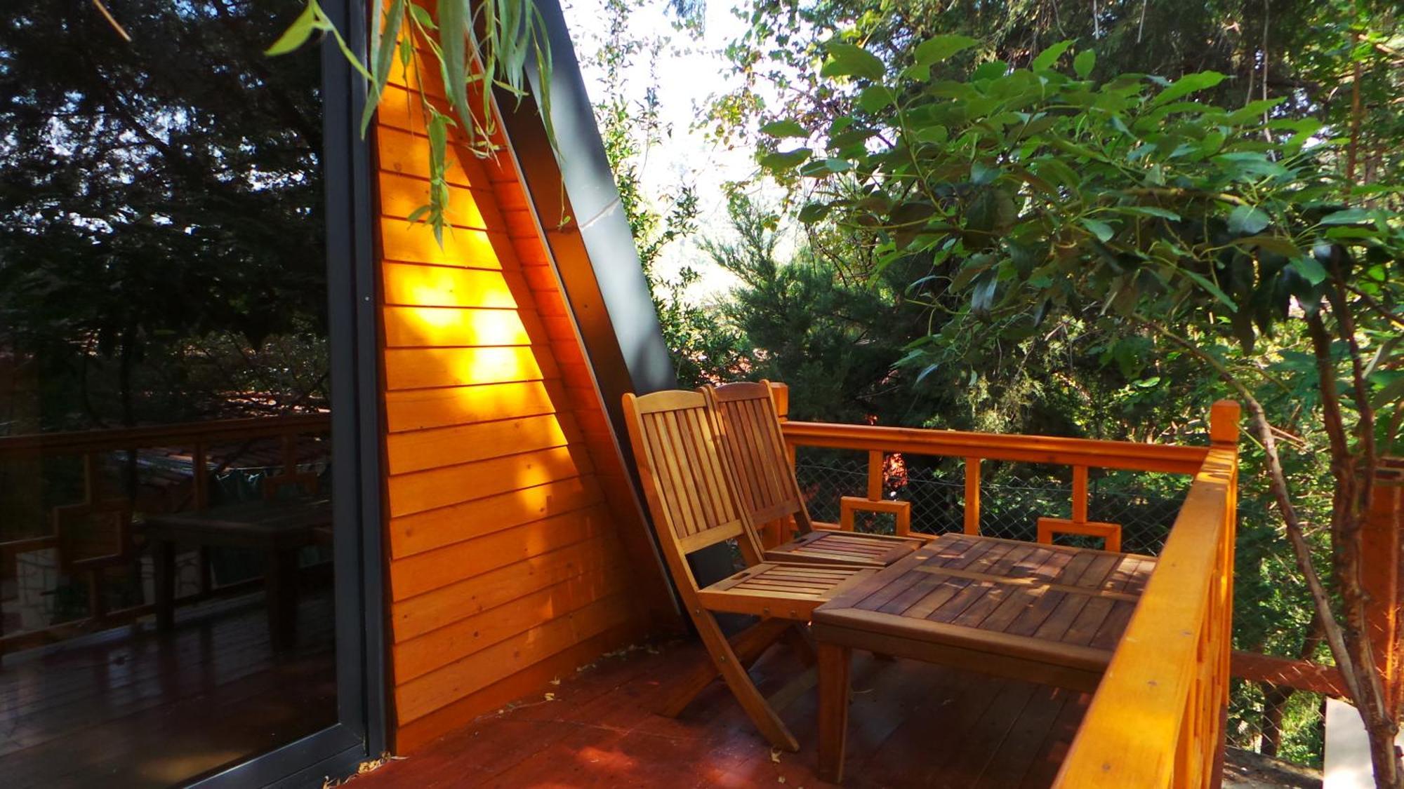 Trinitys Forest Bungalows Kemer Esterno foto